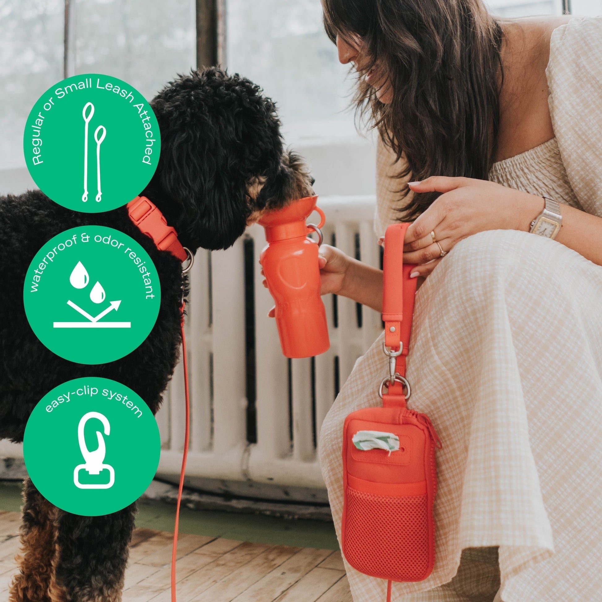 Neoprene Dog Walk Bag with Leash Springland Pets