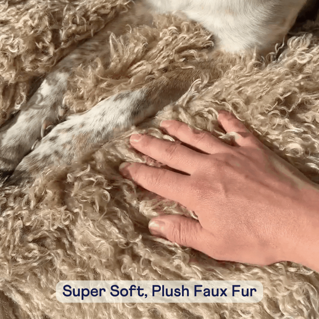 PupRug® Luxe Faux Fur Orthopedic Dog Bed -  Plush Sheep Tan Paw.com