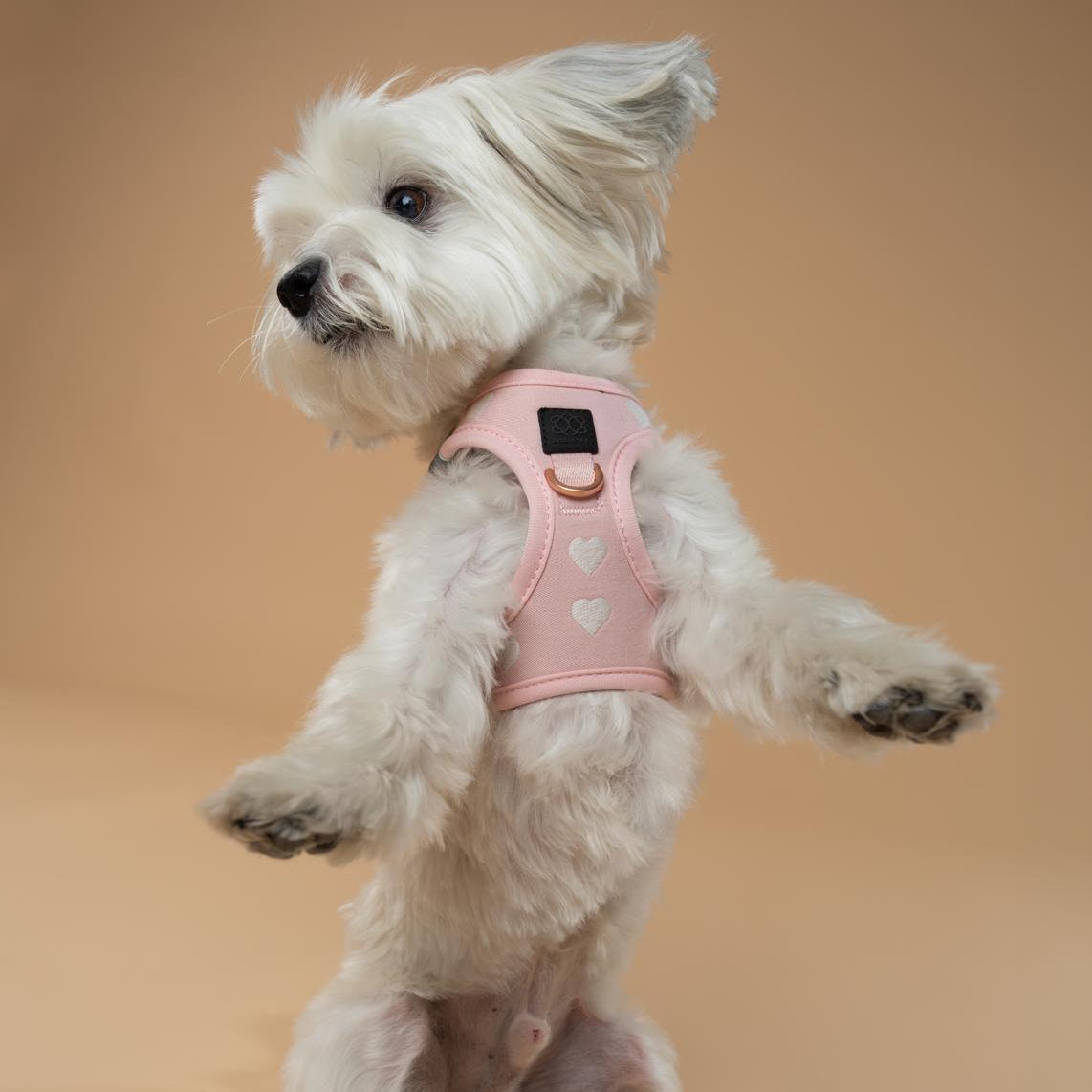 SoHo Dog Harness - Sweetheart