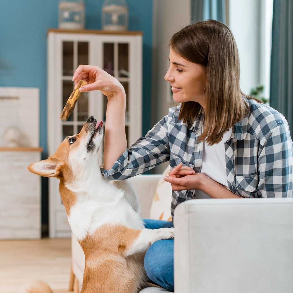 Olive Wood Dog Chew – Natural Chew Stick with Olive Oil