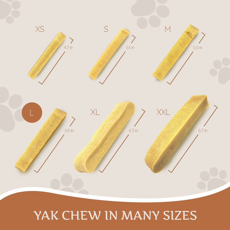 Hard Cheese Dog Chew – Long-Lasting Natural Chew