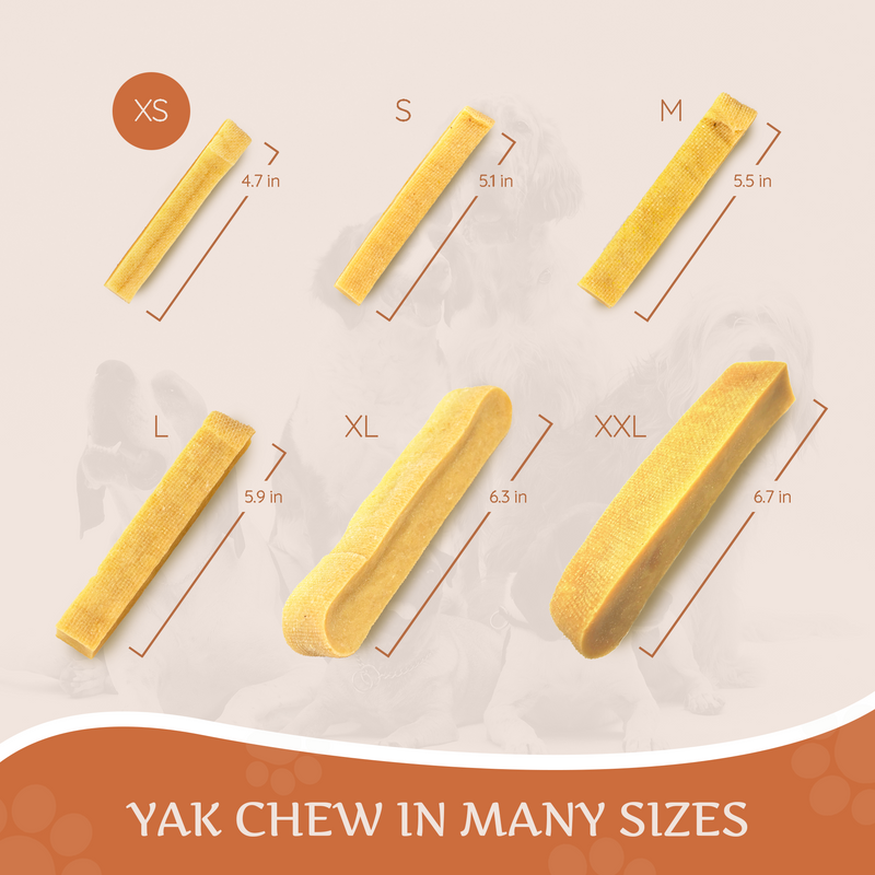 Hard Cheese Dog Chew – Long-Lasting Natural Chew