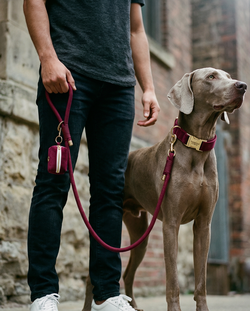 Signature Velvet Poop Bag Dispenser - Wine