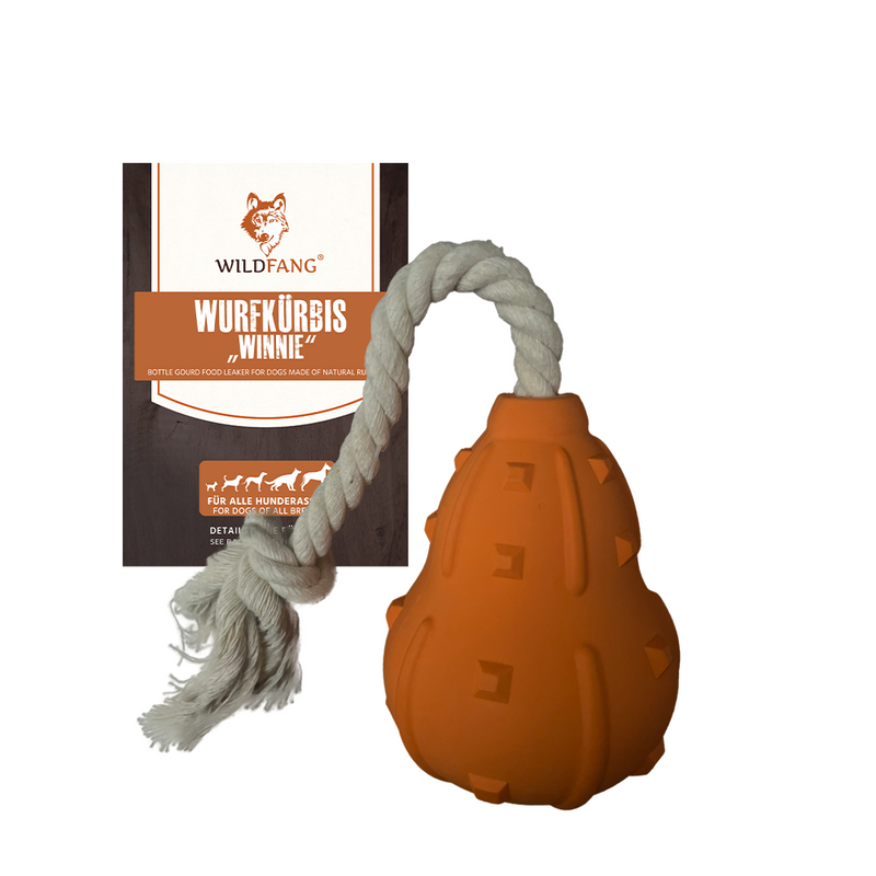 Winnie Natural Rubber Dog Toy – Treat, Tug & Chew Toy