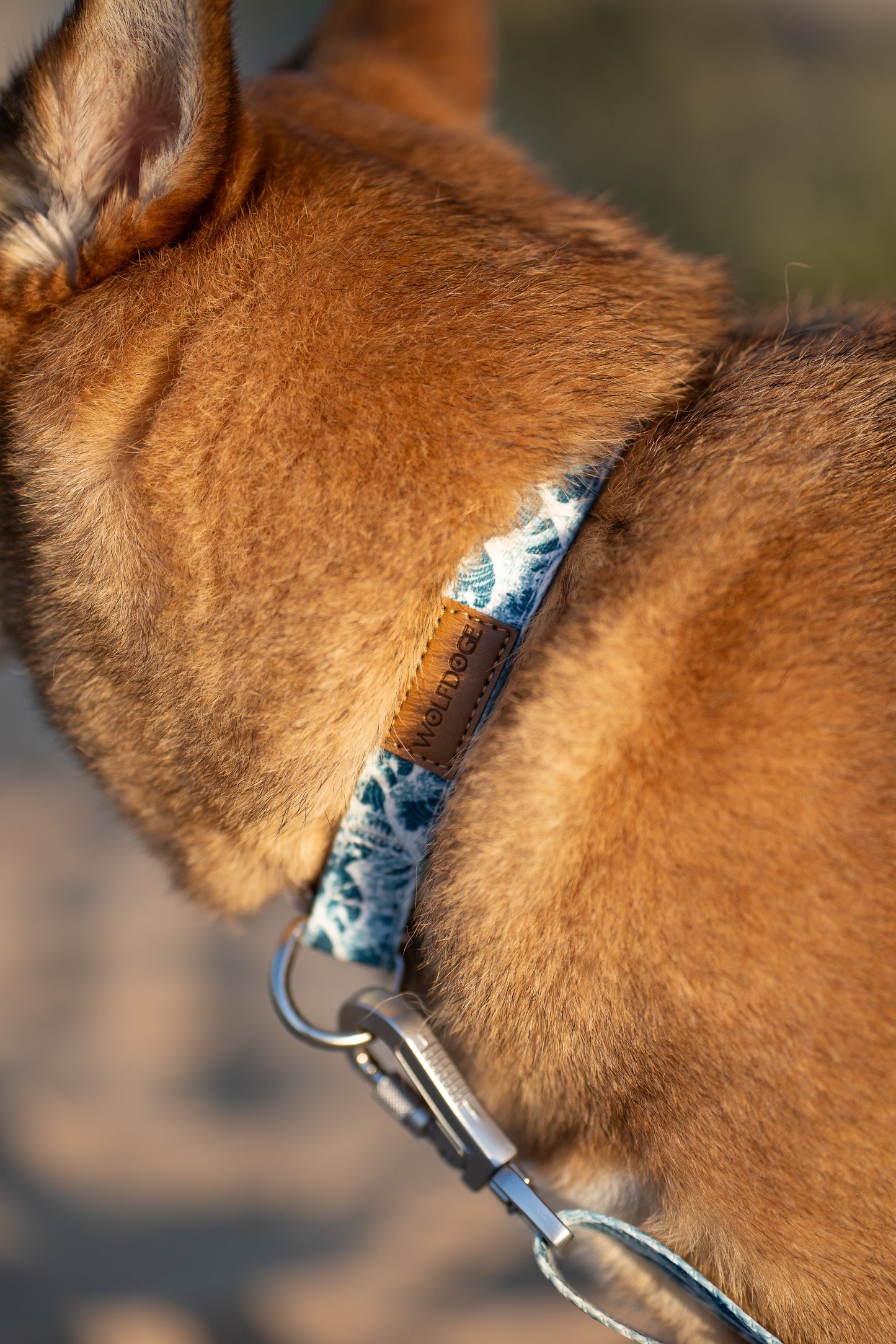 Great Wave Collar WOLFDOGE