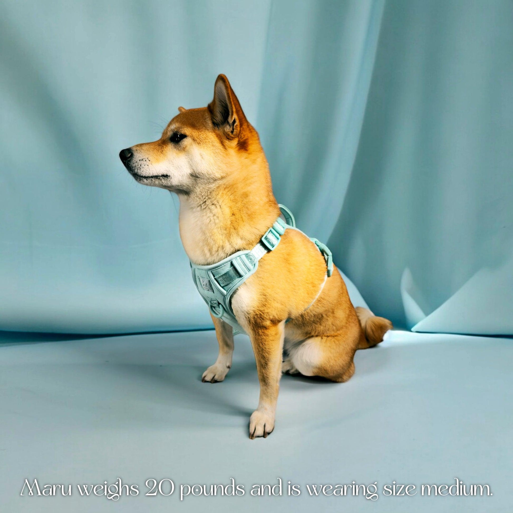 Wolfdoge Signature Harness WOLFDOGE