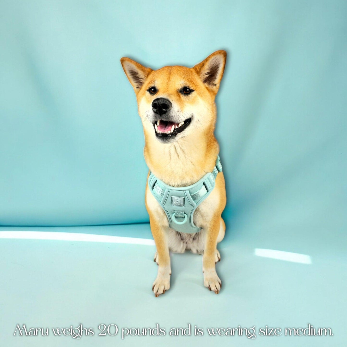 Wolfdoge Signature Harness WOLFDOGE