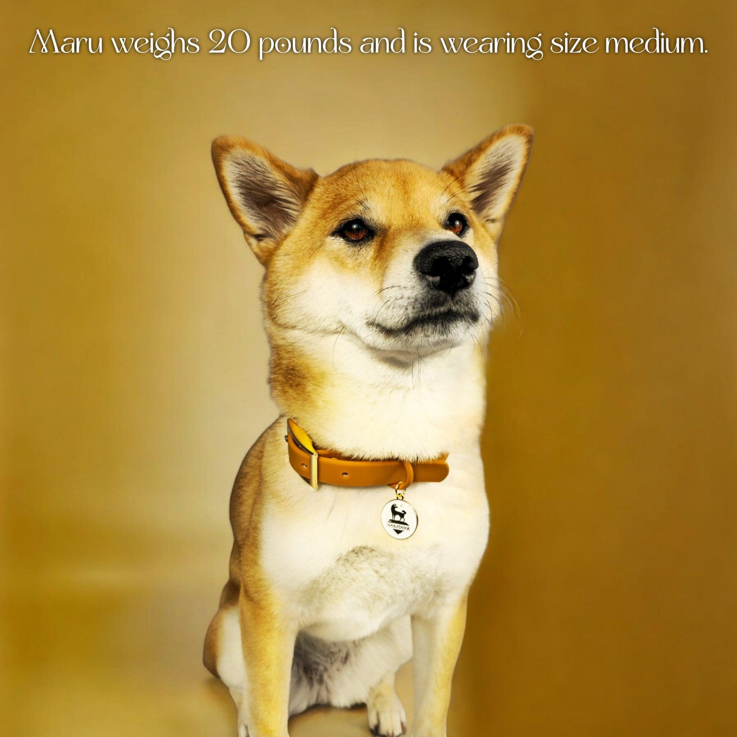 Waterproof Collar WOLFDOGE