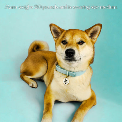 Waterproof Collar WOLFDOGE