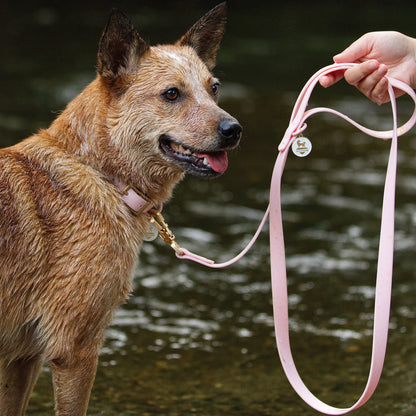 Waterproof Leash WOLFDOGE