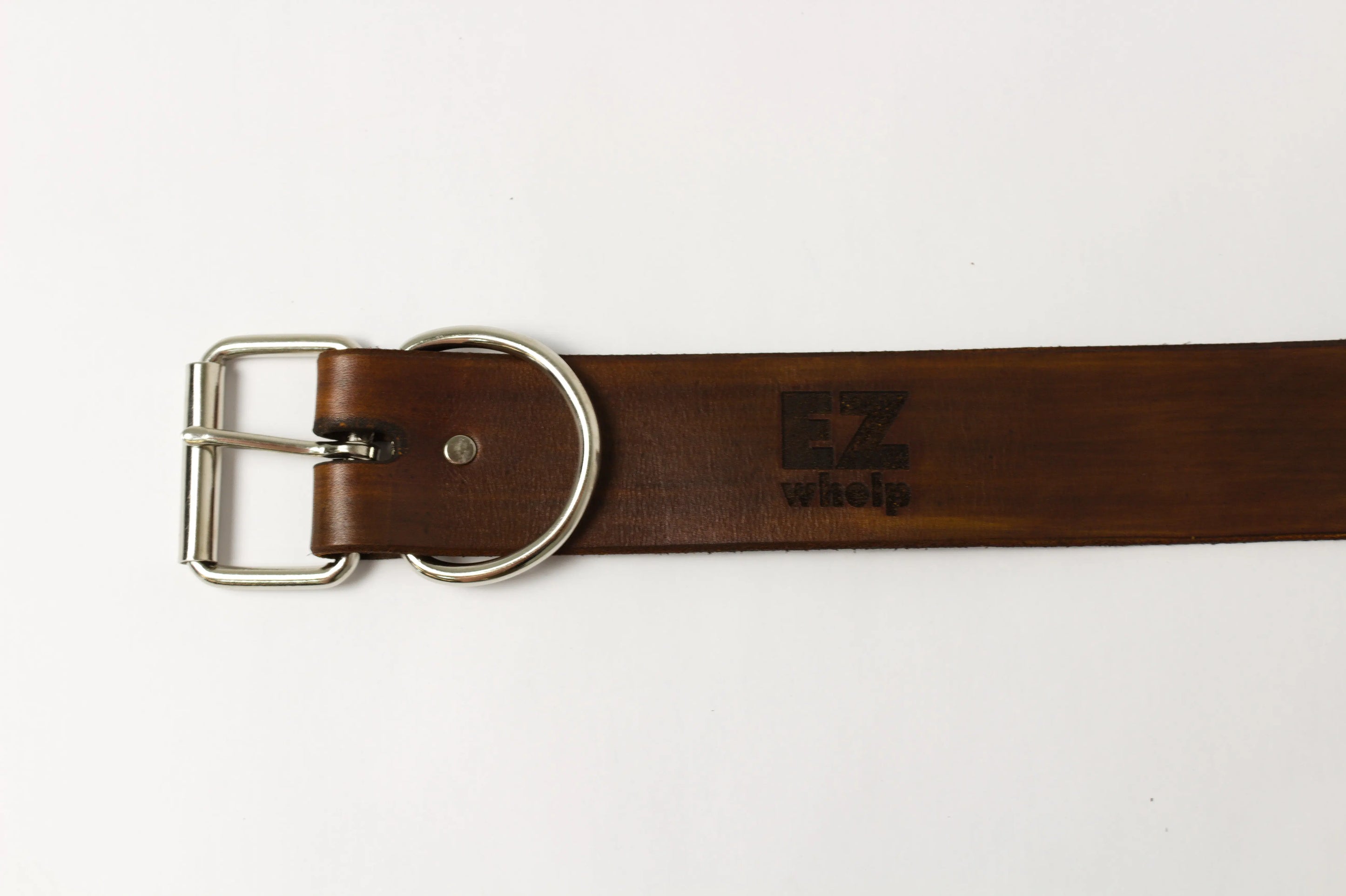 Leather Dog Collar EZwhelp