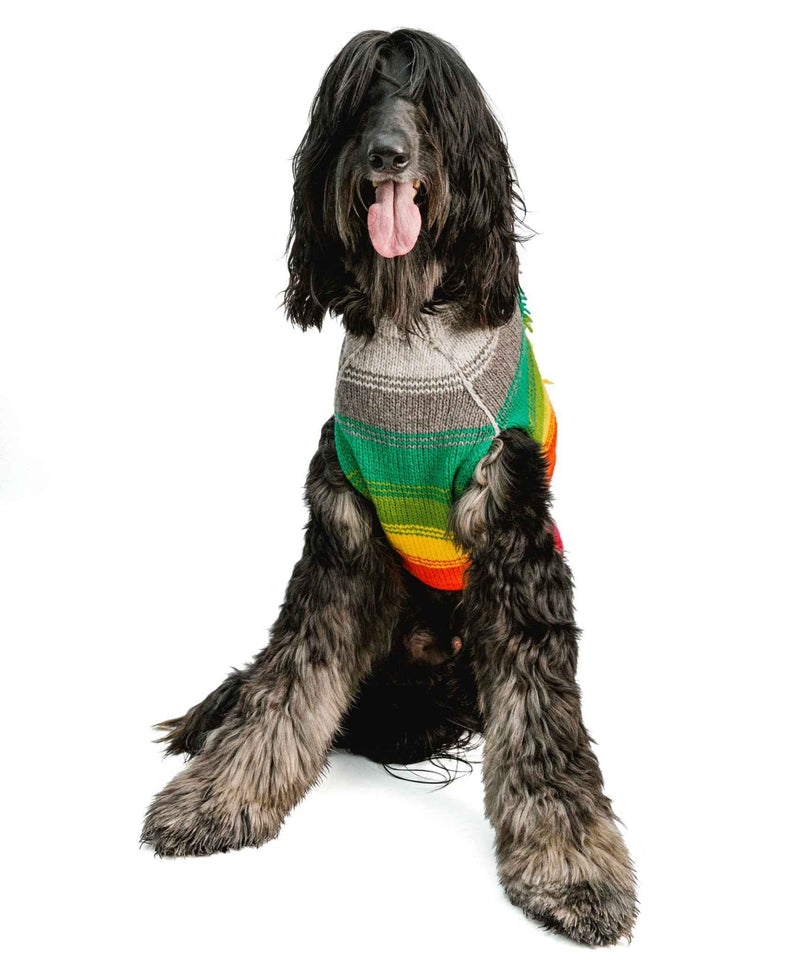 Rainbow Mohawk Dog Sweater