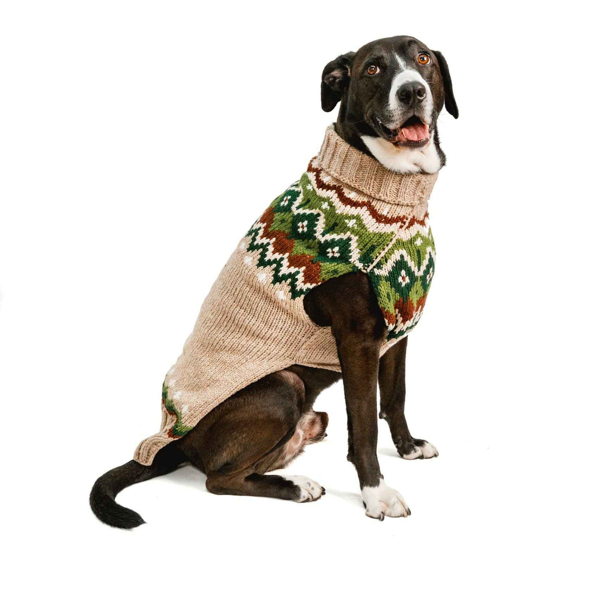Ragg Wool Fair Isle Dog Sweater