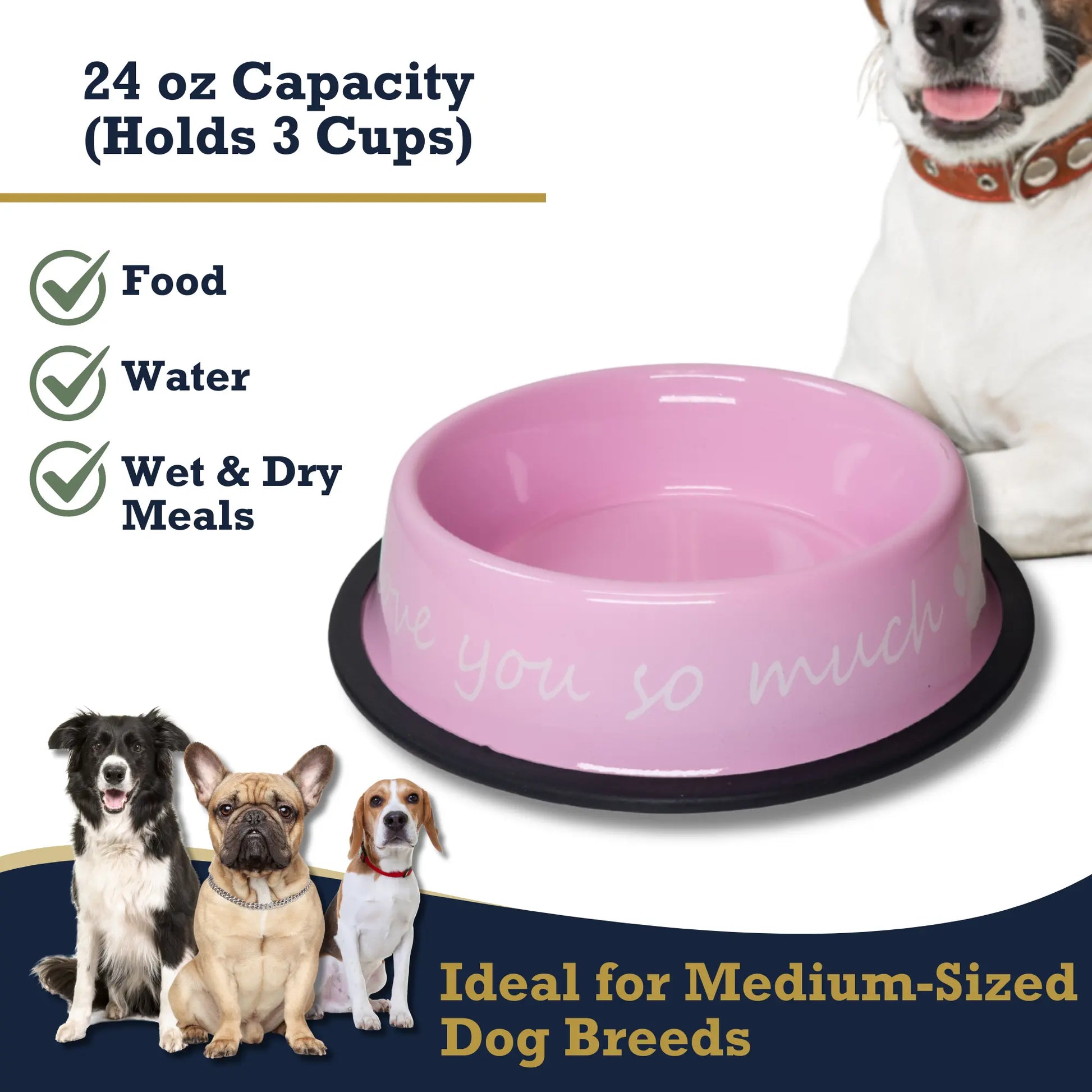 I LOVE YOU SO MUCH Modern Stainless Steel Dog Bowl – 24oz American Pet Supplies