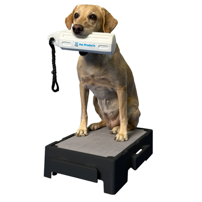 KLIMB Jr Blue-9 Pet Products