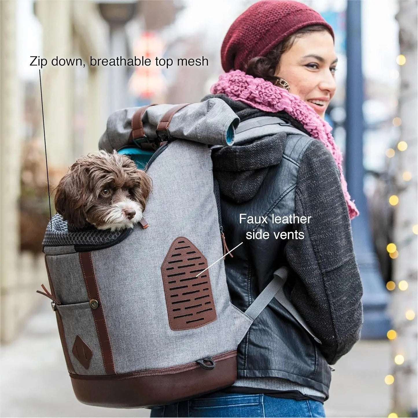Dog Carrier Backpack for Small Pets - Hands-Free Pet Travel Backpack - Armorsole Base - Convertible Backpack to Carrier - Rugged Pet Backpack - Heather Grey