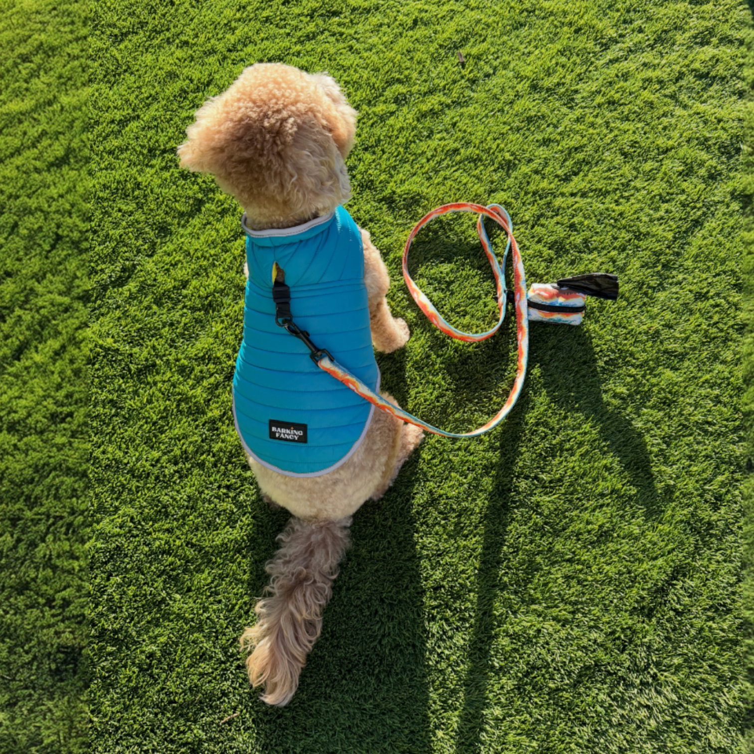 Adventurer Jacket - Reversible Dog Puffer Jacket