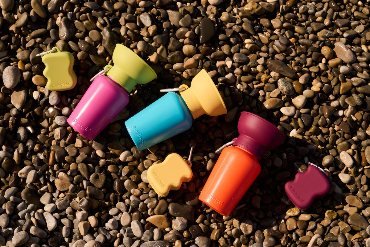 Silicone Dog Treat Dispenser