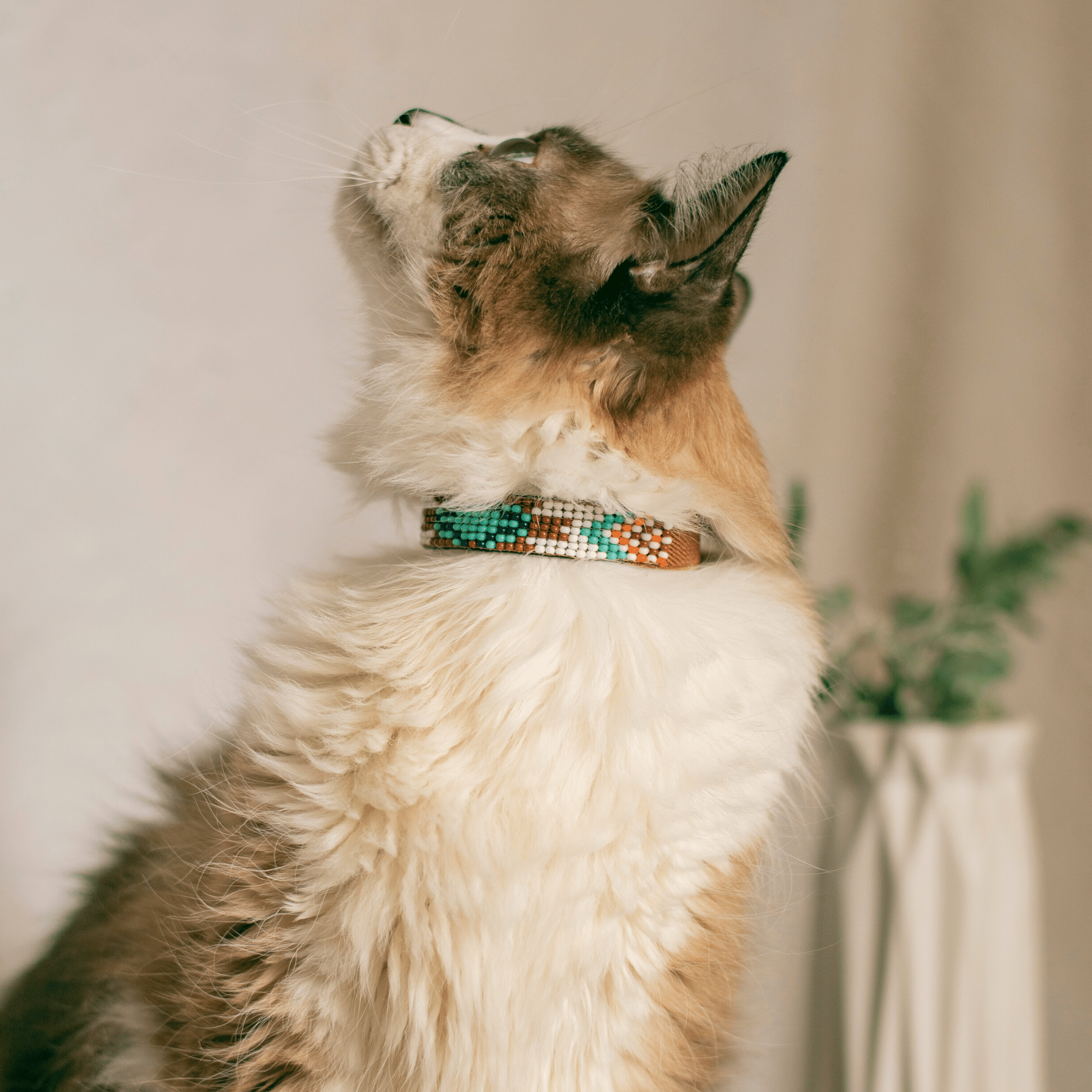 Aztec Sambboho cat collar