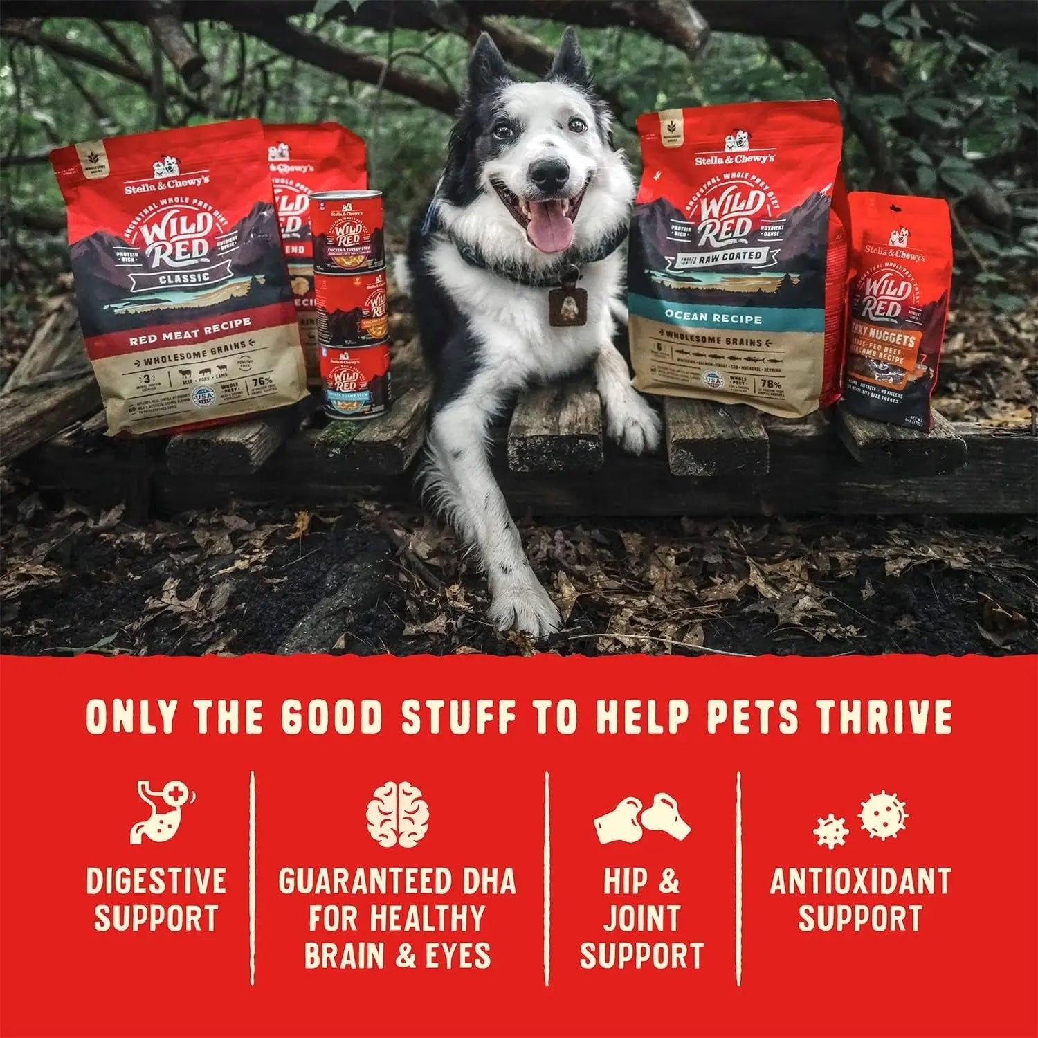 Wild Red Dry Dog Food Raw Coated High Protein Grain & Legume Free Red Meat Recipe, 1 Lb. Bag