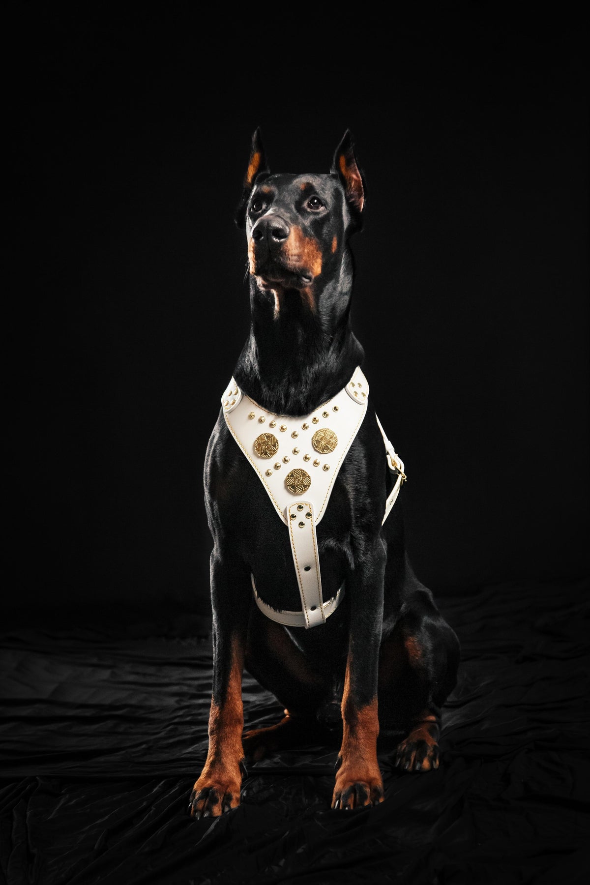 Bestia Maximus Leather Dog Harness – White