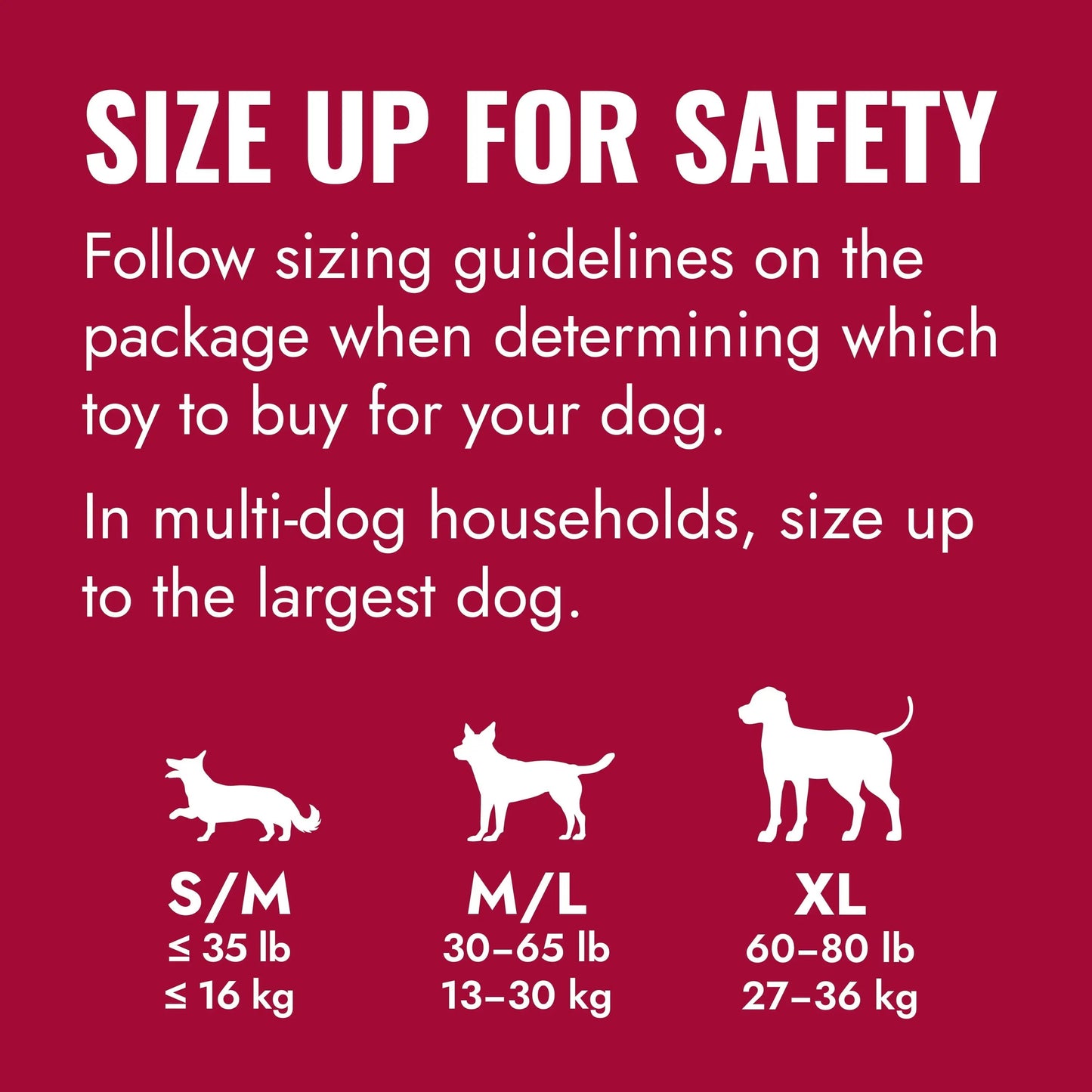 ® Ring Dog Toy, Medium/Large