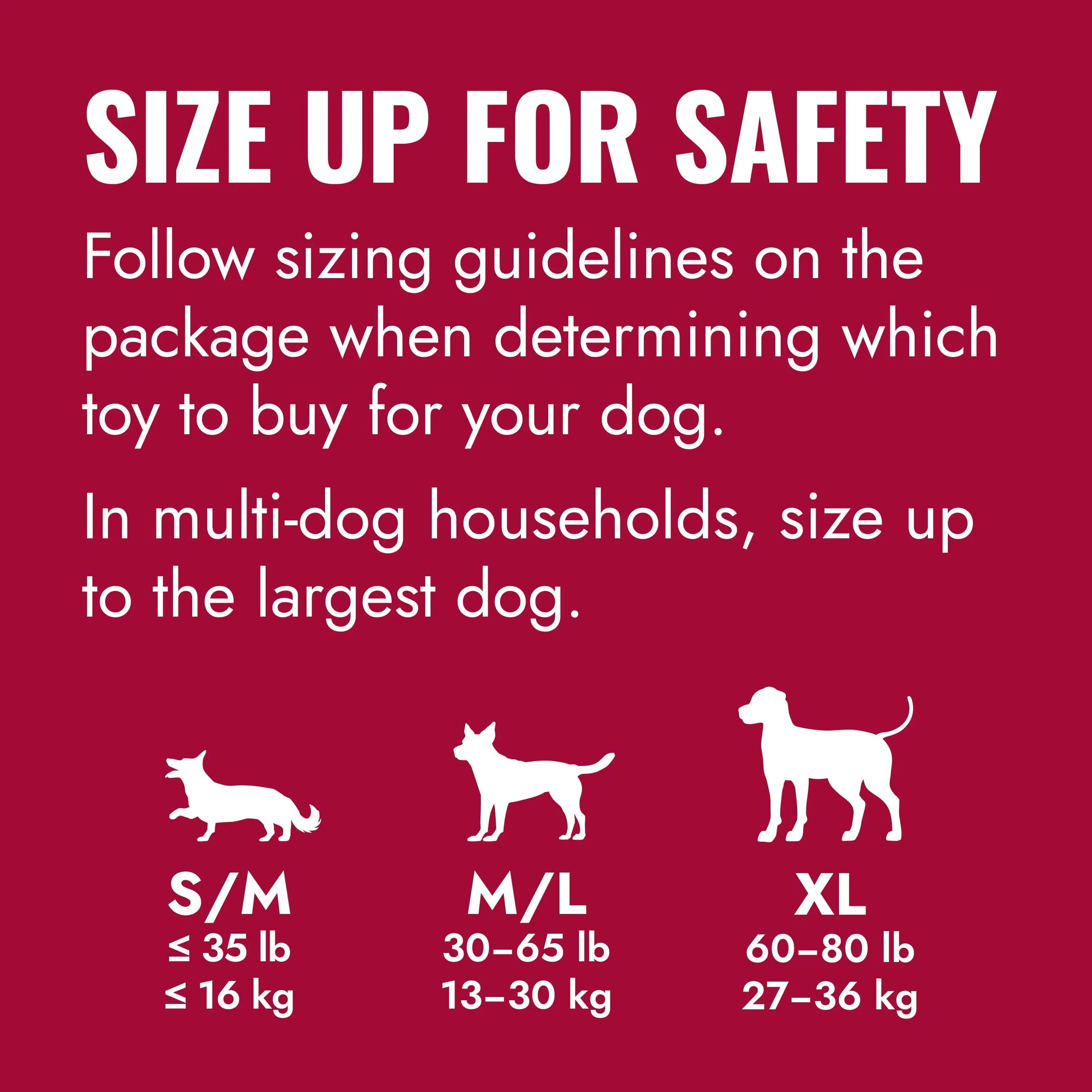 ® Ring Dog Toy, Medium/Large