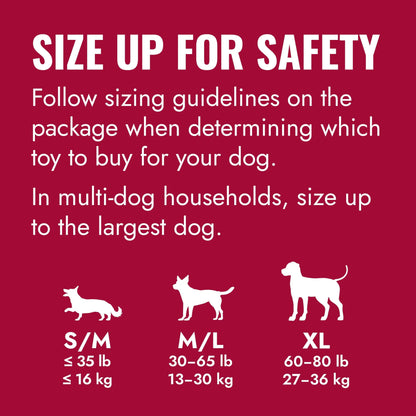 ® Ring Dog Toy, Medium/Large