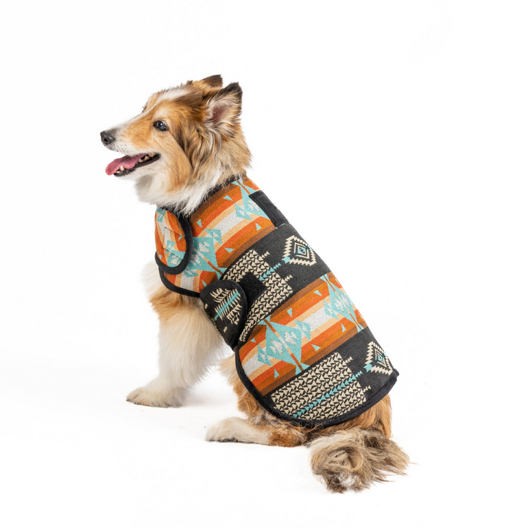 Black Canyon Dog Blanket Coat