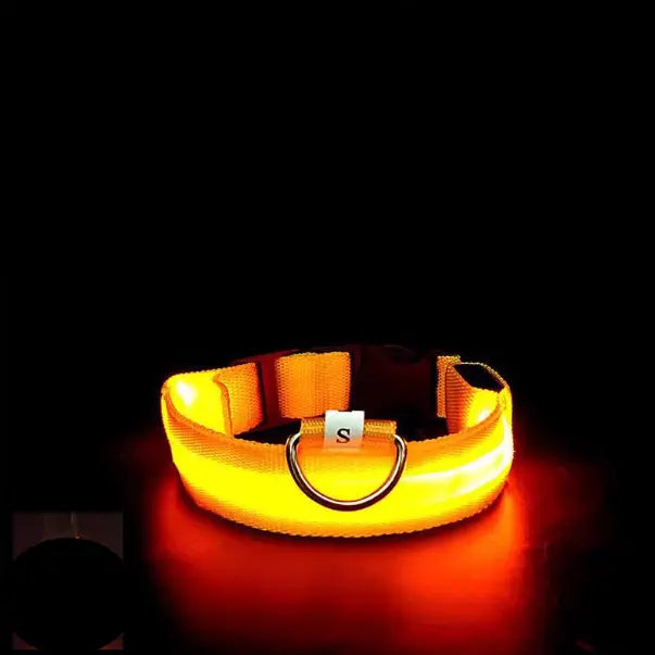 Milou & Lumi LED Glowing Pet Collar - Yellow - K9 Outdoors