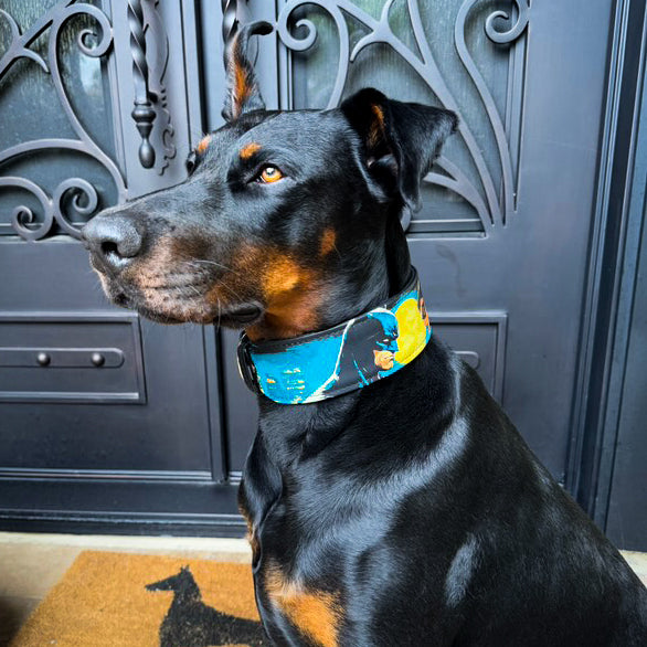 Bestia BCW Leather Dog Collar – Limited Edition