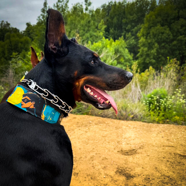 Bestia BCW Leather Dog Collar – Limited Edition