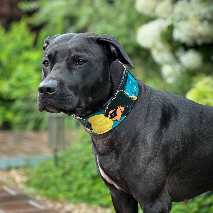 Bestia BCW Leather Dog Collar – Limited Edition