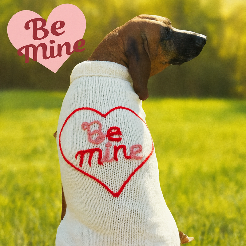 Be Mine Dog Sweater