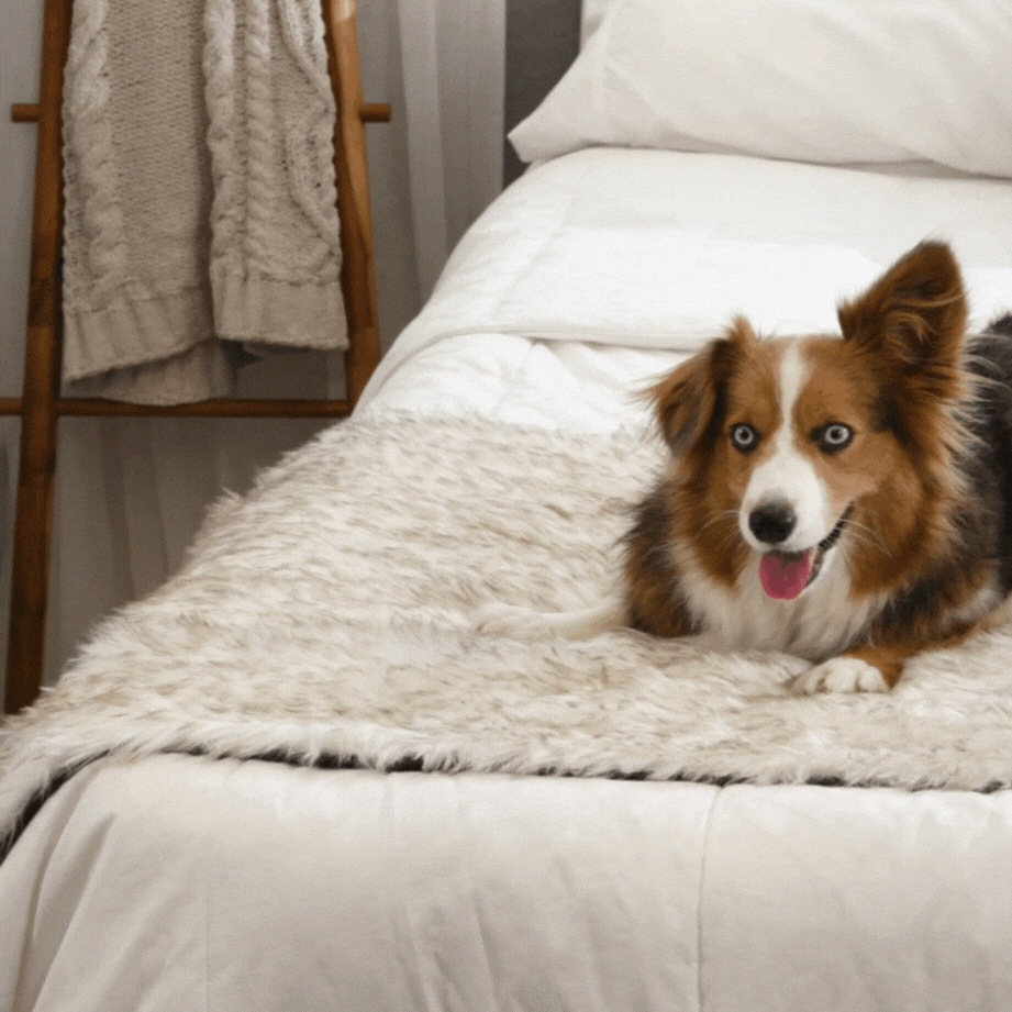 PupProtector™ Waterproof Bed Runner - White with Brown Accents Paw.com