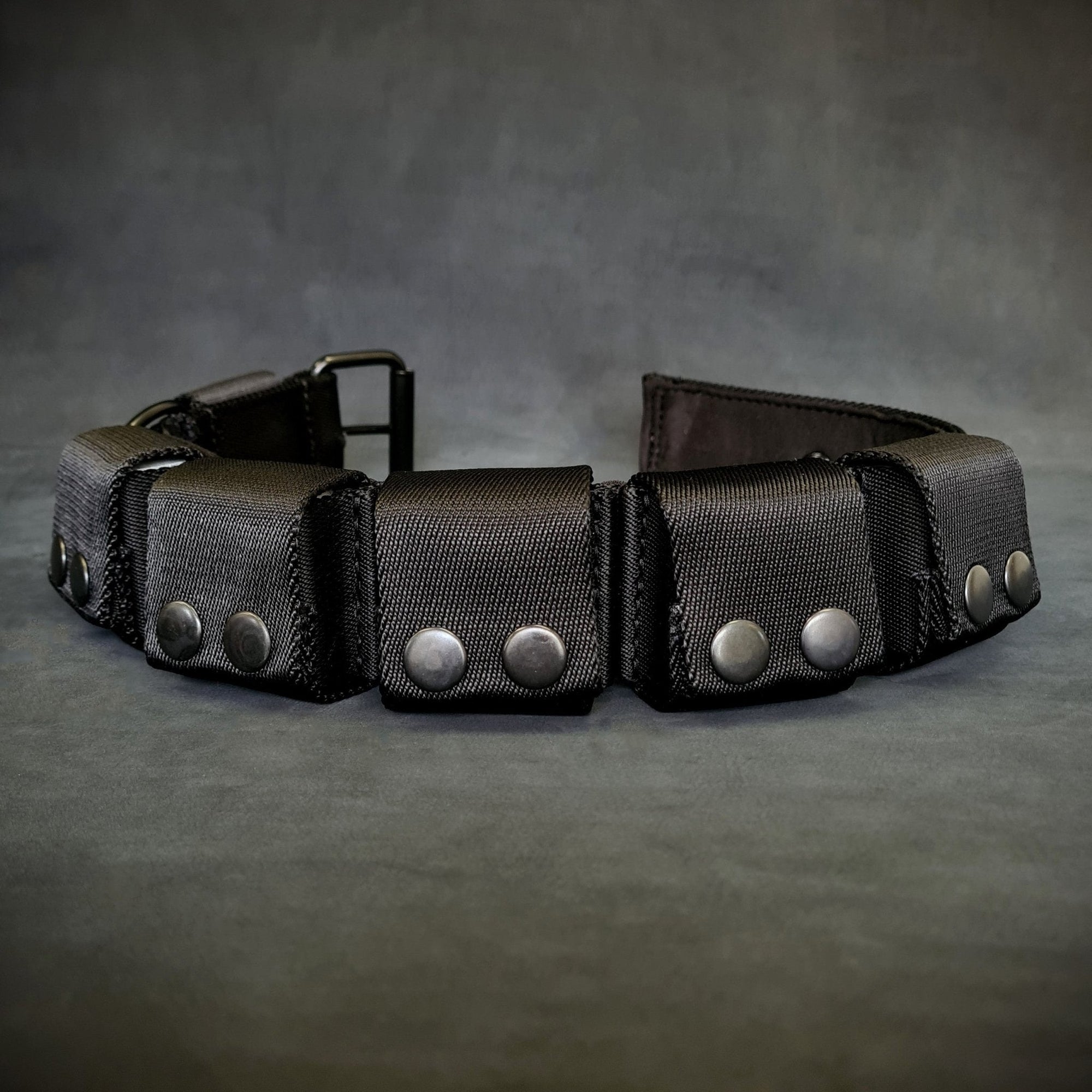 BESTIA DOG SPORT Weighted Dog Training Collar