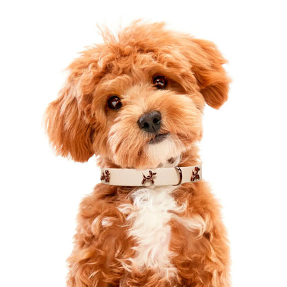 Ballon Beige Dog Collar | Premium Collar | SANDDOG SANDDOG