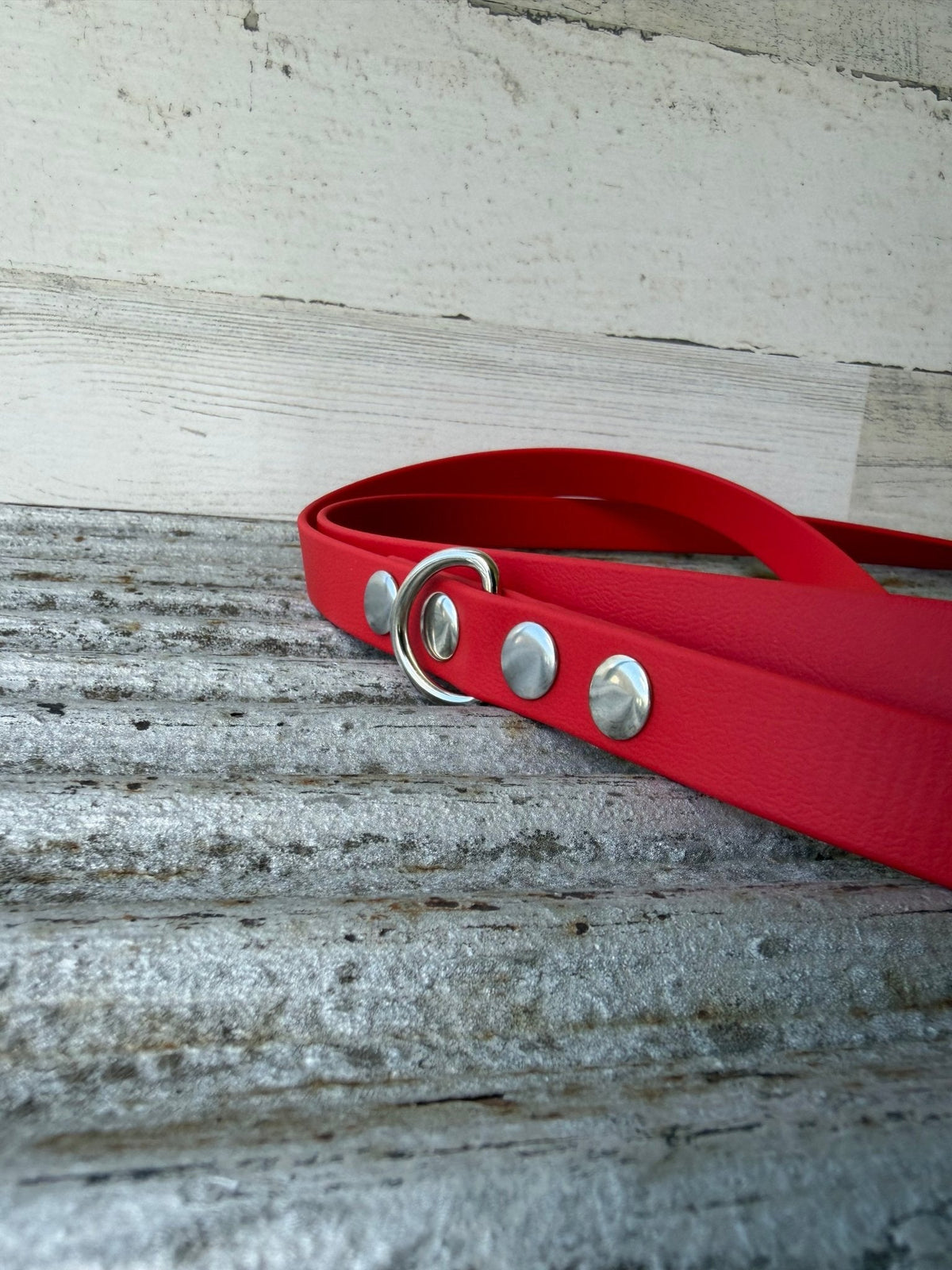 BioThane® Eurolead 8-Way Leash | Multi-Functional Hands-Free Leash