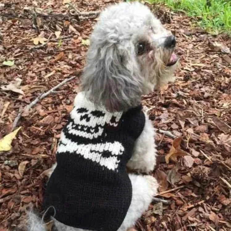 Black Skull Dog Sweater