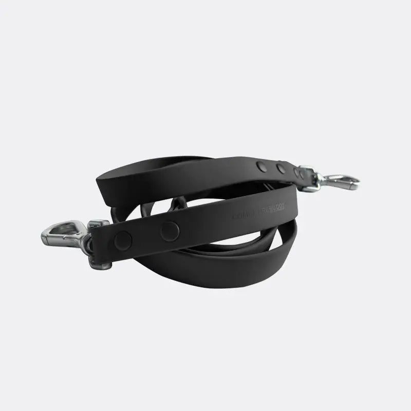 Leash