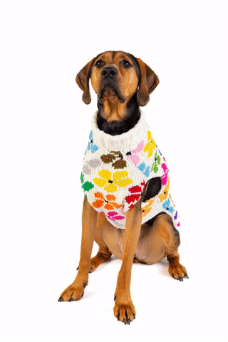 Bloom Dog Sweater