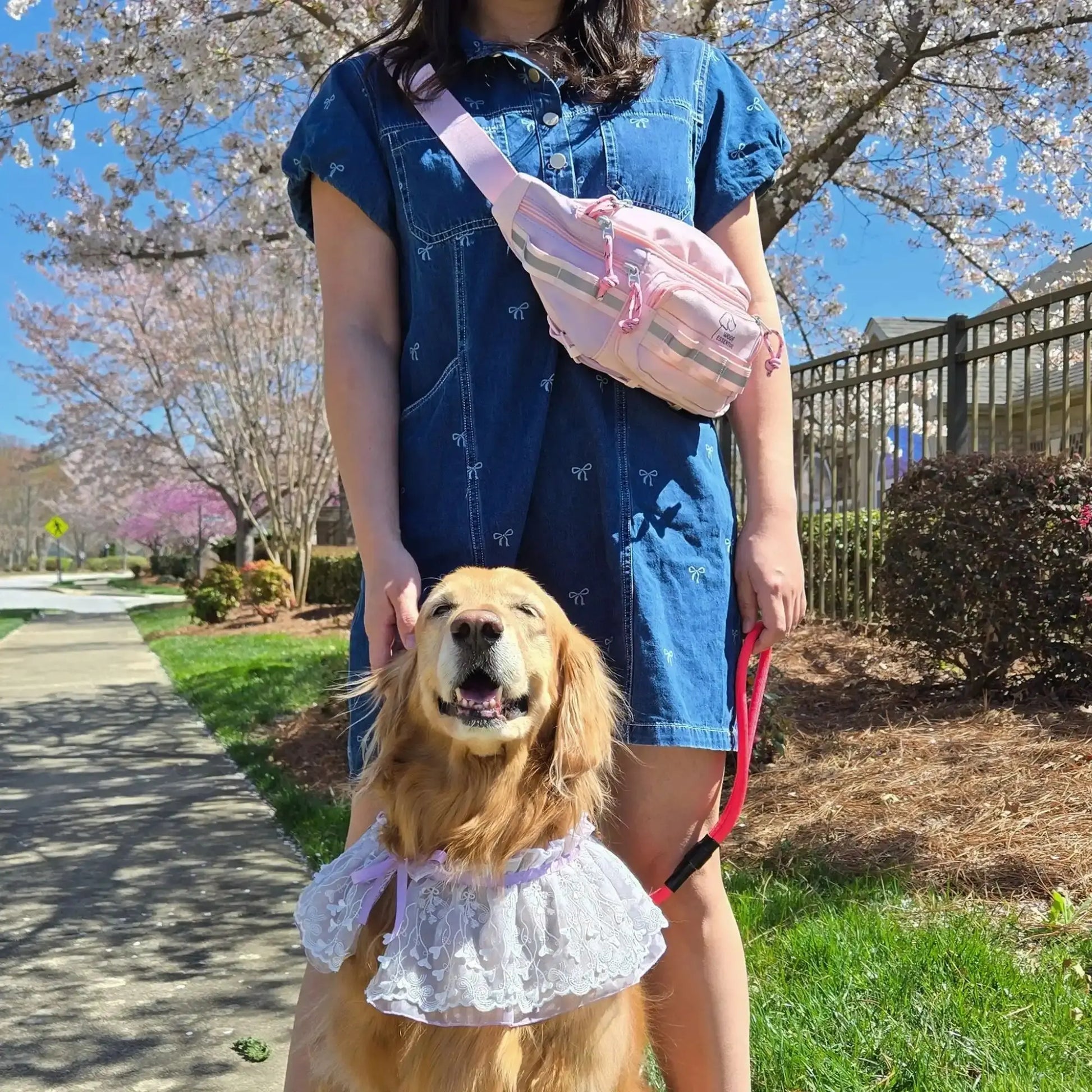 Walk'n Wag Hip Pack WOOFESSENTIAL