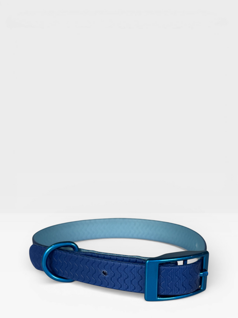 Blue Jelly Collar - Waterproof Collar For Small Dogs