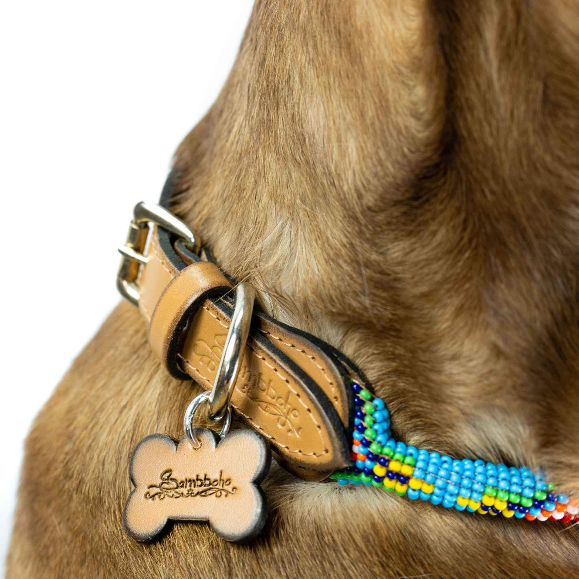 Blue Vogue Sambboho dog collar (rolled)