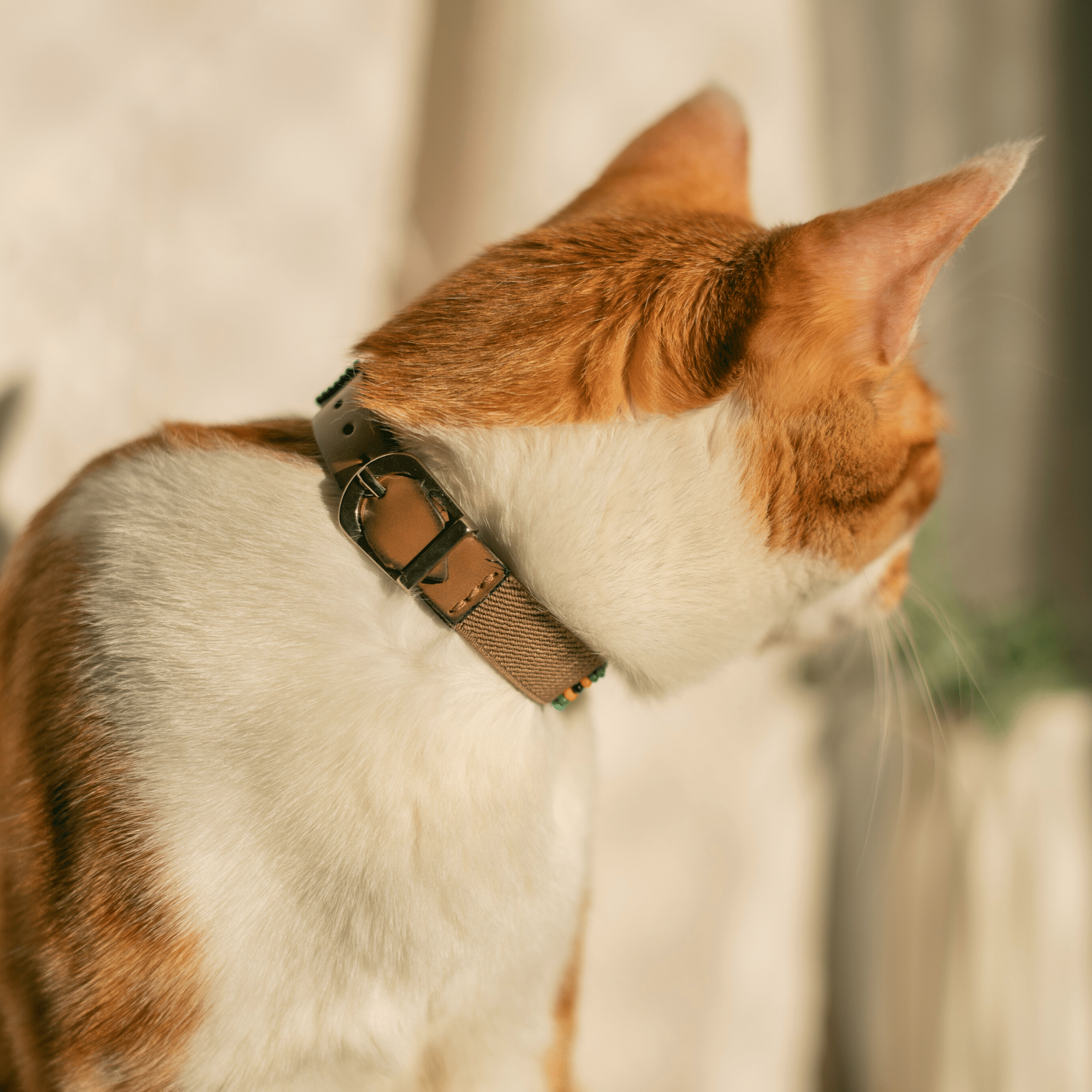 Blue Vogue Sambboho cat collar