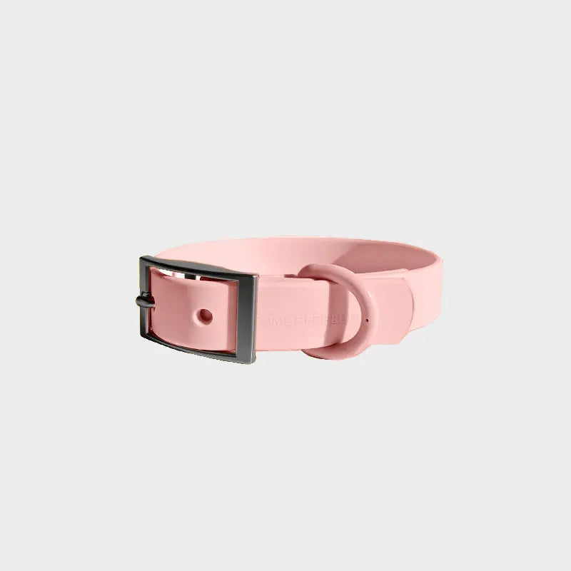 Everyday Collar - K9 Outdoors