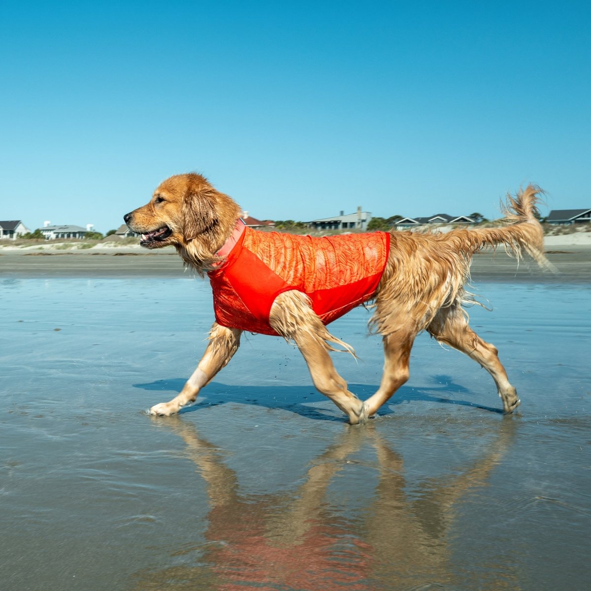 Body Glove Crystal Cool Dog Cooling Shirt product view