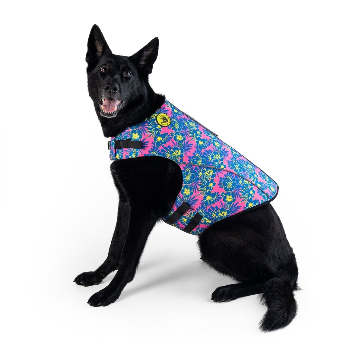 Dog wearing the Body Glove Floral Neoprene Life Jacket