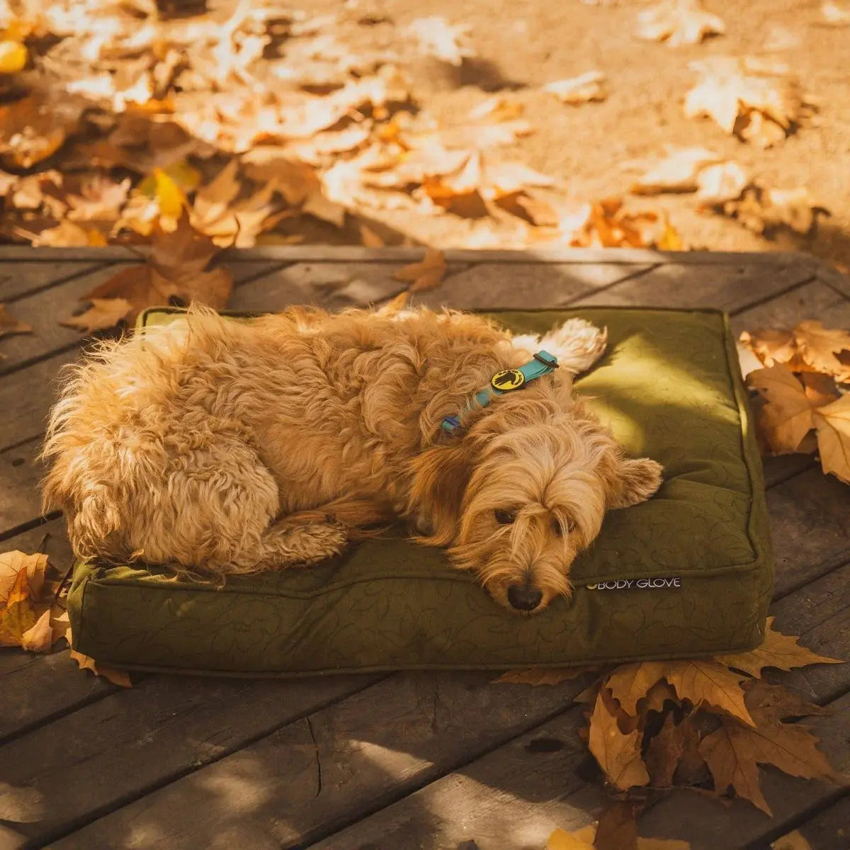 Body Glove Paintflower Pet Napper-K9 Outdoors