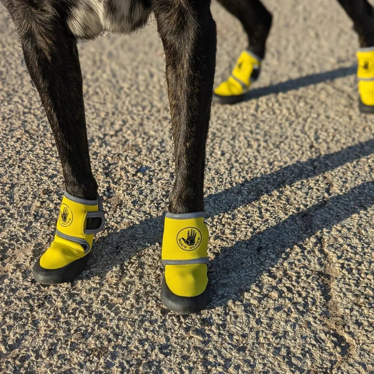 Body Glove Dog Booties-K9 Outdoors